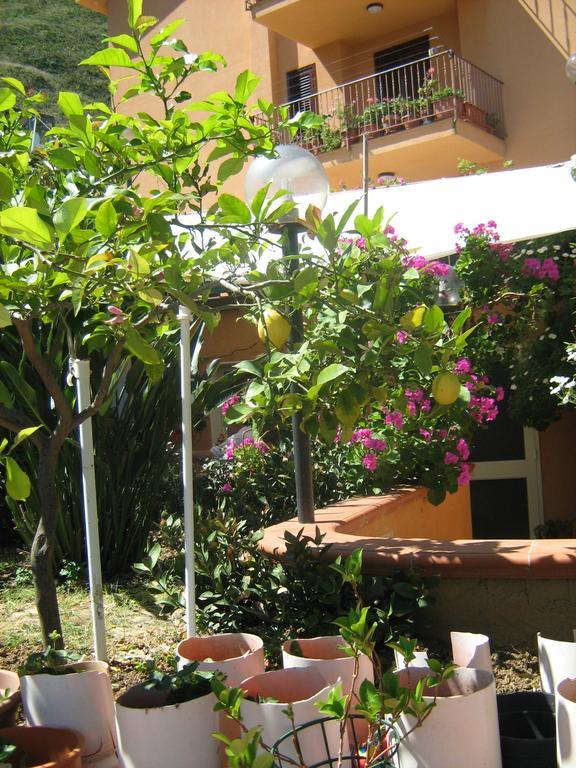 Terrazza Mimosa Apartment Чефалу Екстериор снимка